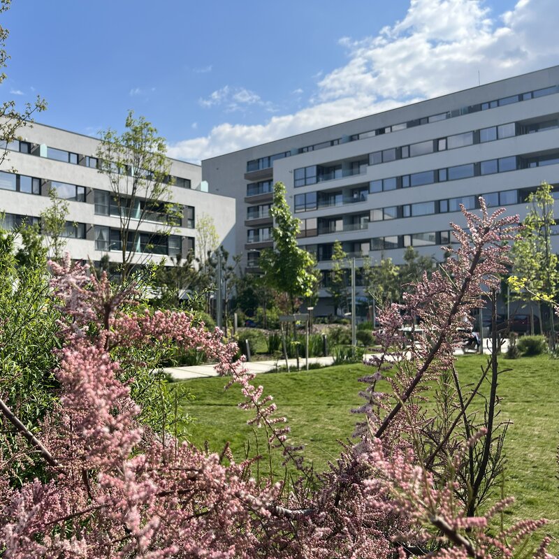 Sector 1 Apartament Nou 2 camere-64 mp util-reper Mall Colosseum