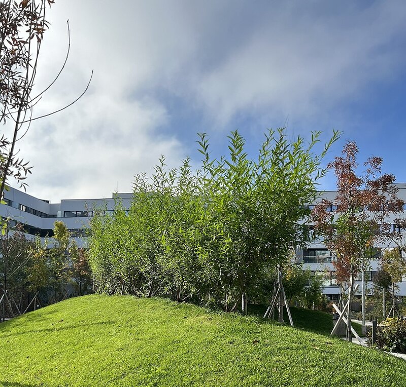 Sector 1 Apartament Nou 2 camere-64 mp util-reper Mall Colosseum