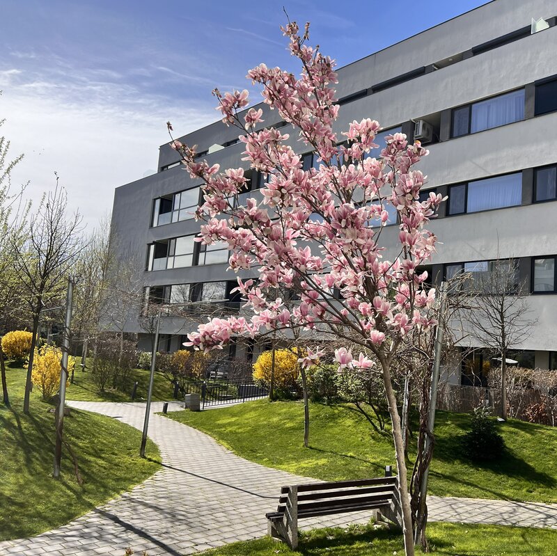 Sector 1 Apartament Nou 2 camere-64 mp util-reper Mall Colosseum